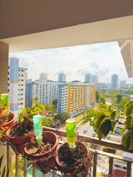 Blk 320 Ang Mo Kio Avenue 1 (Ang Mo Kio), HDB 3 Rooms #596405011